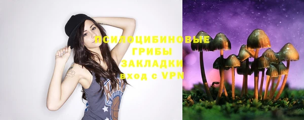 шишки Навашино