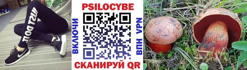наркота  Озёры  Галлюциногенные грибы Psilocybine cubensis 